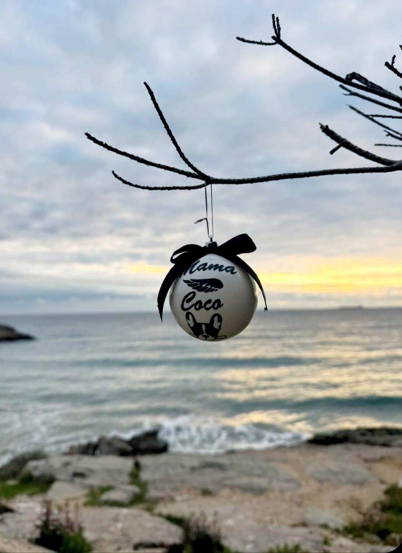 Bola navidad colores