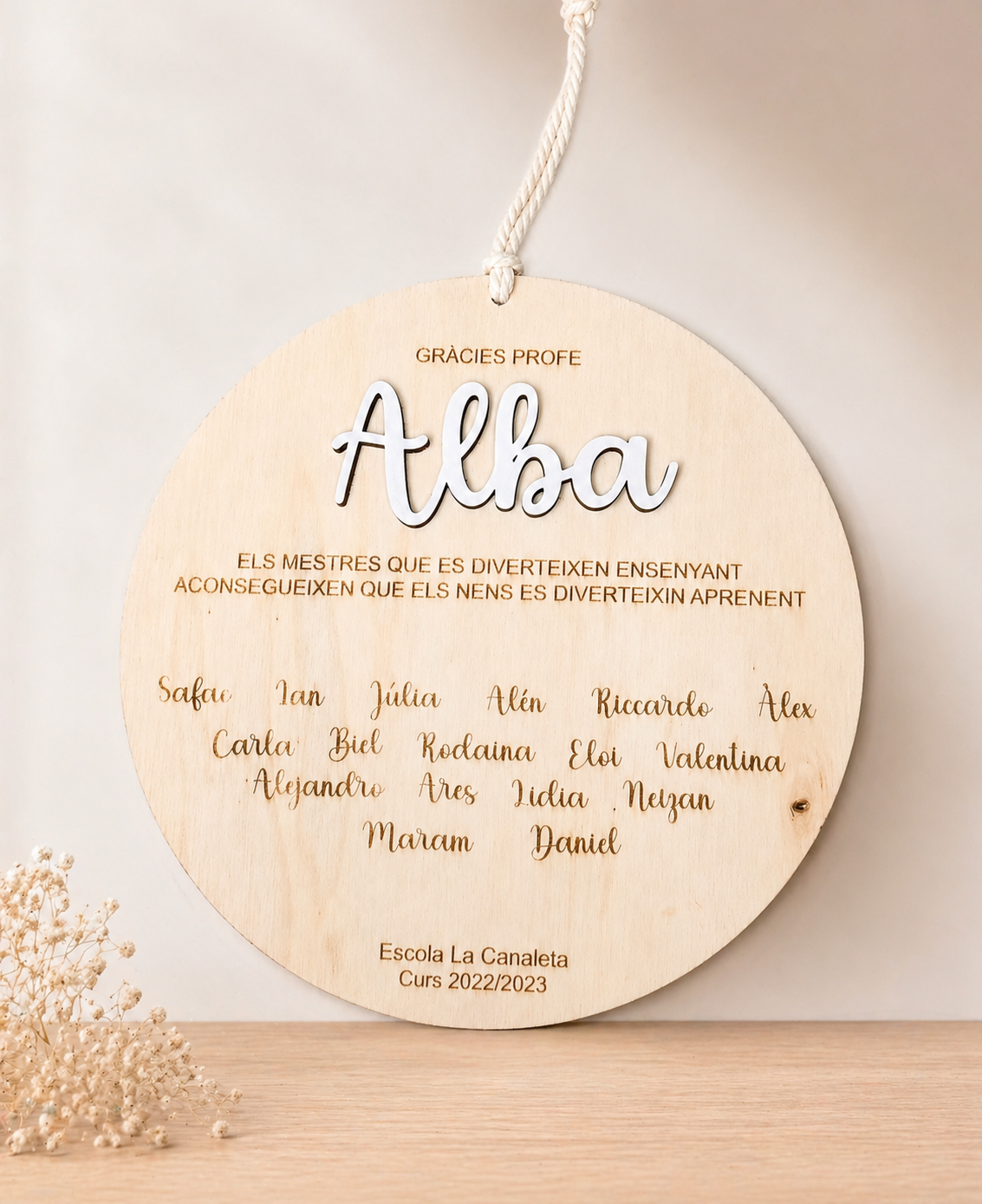 Placa Profe