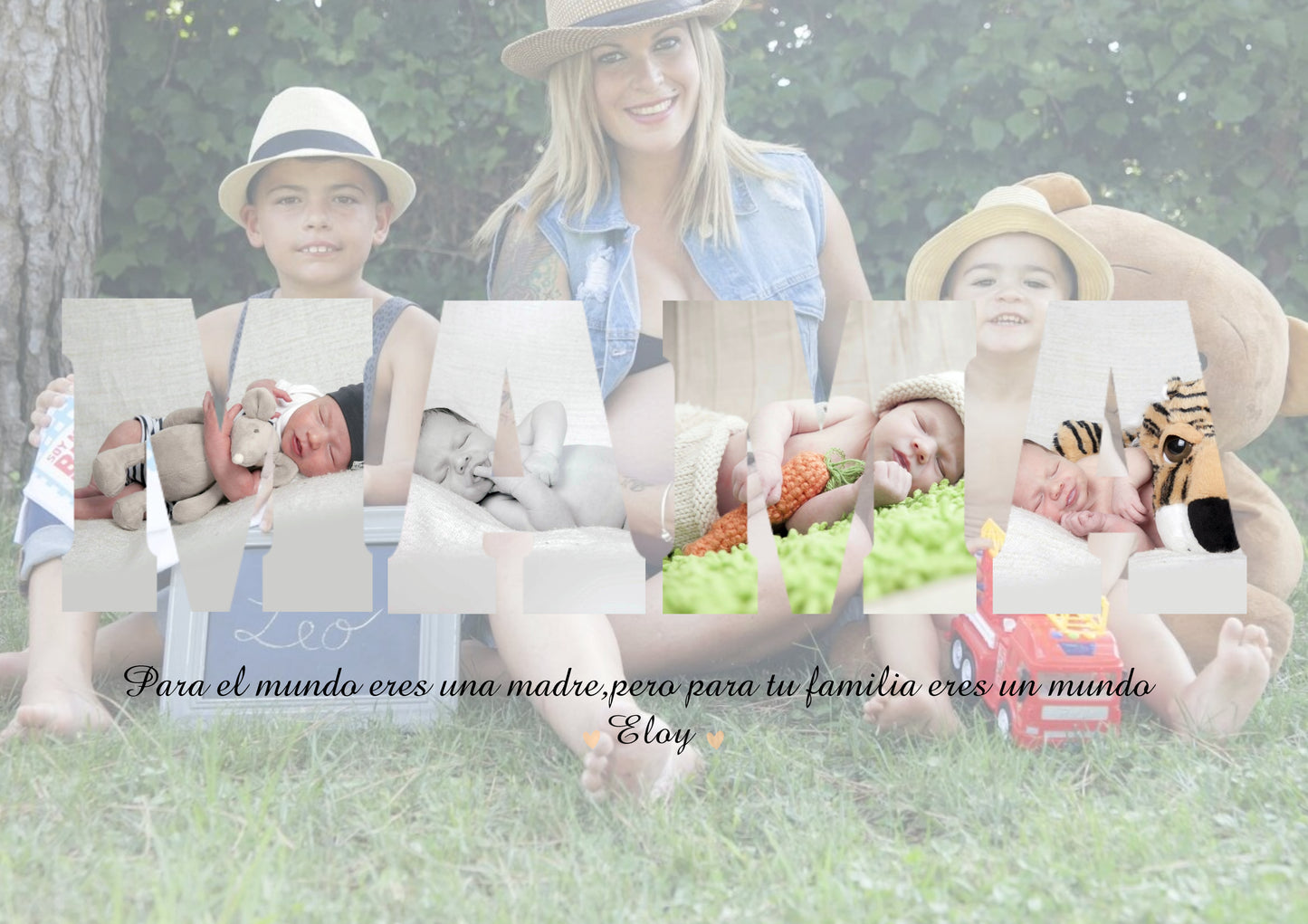 Lamina mamá