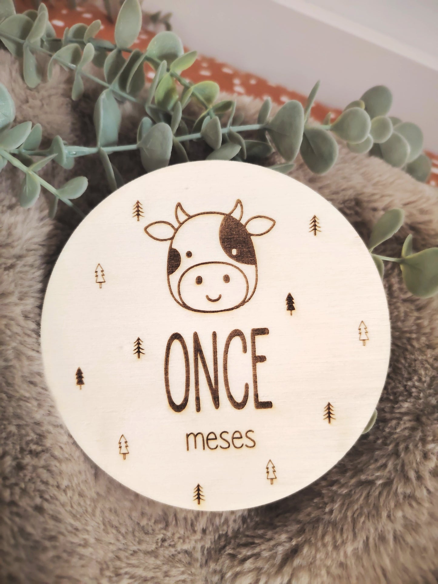 Placas cumple meses animales