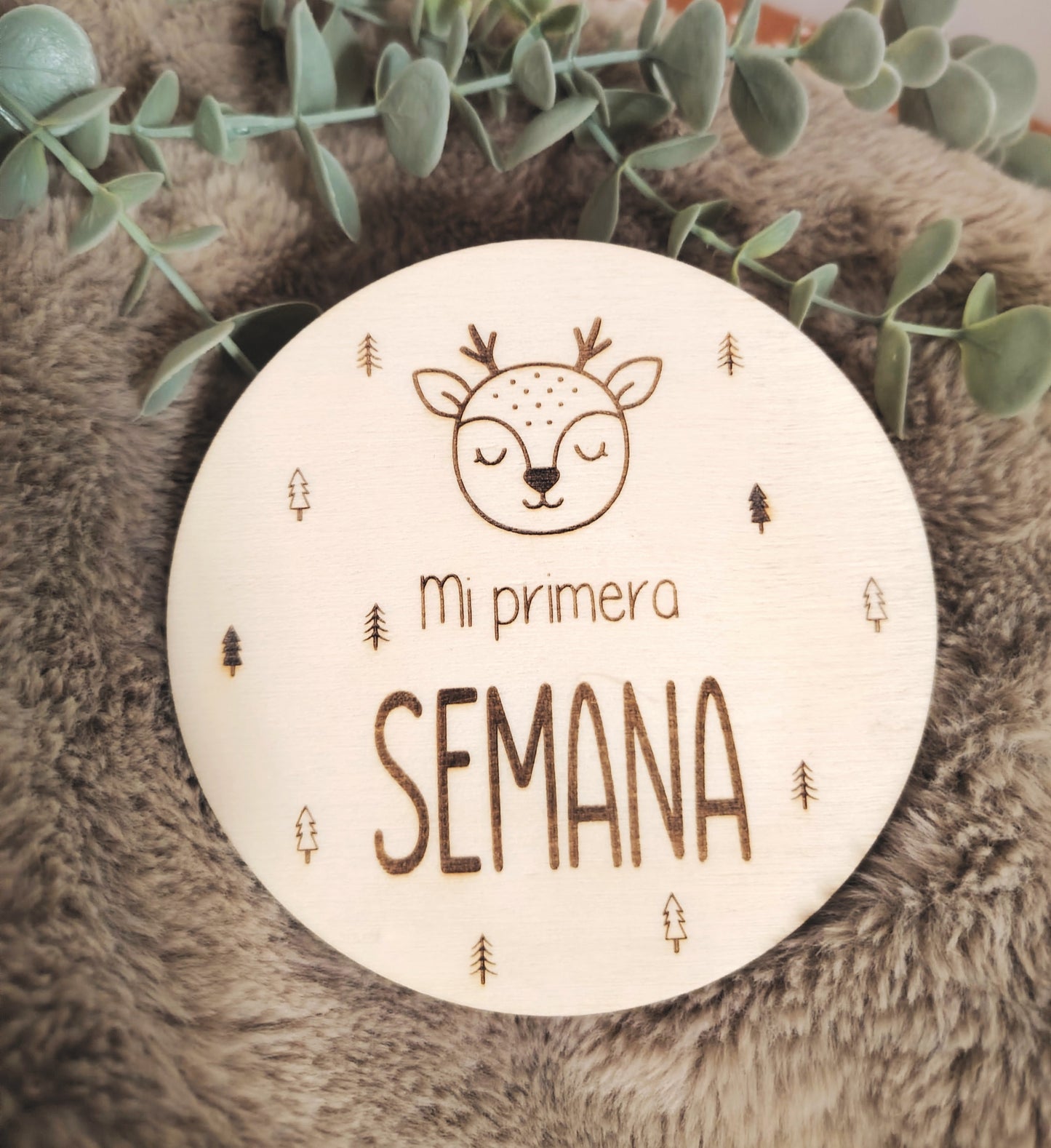 Placas cumple meses animales