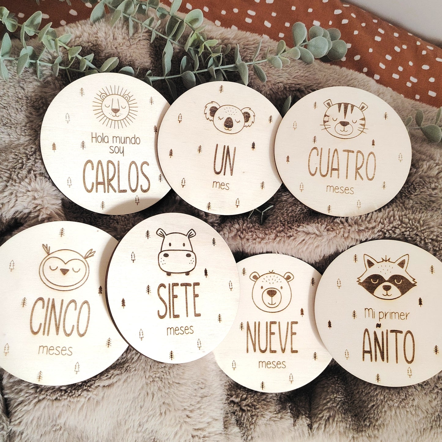 Placas cumple meses animales