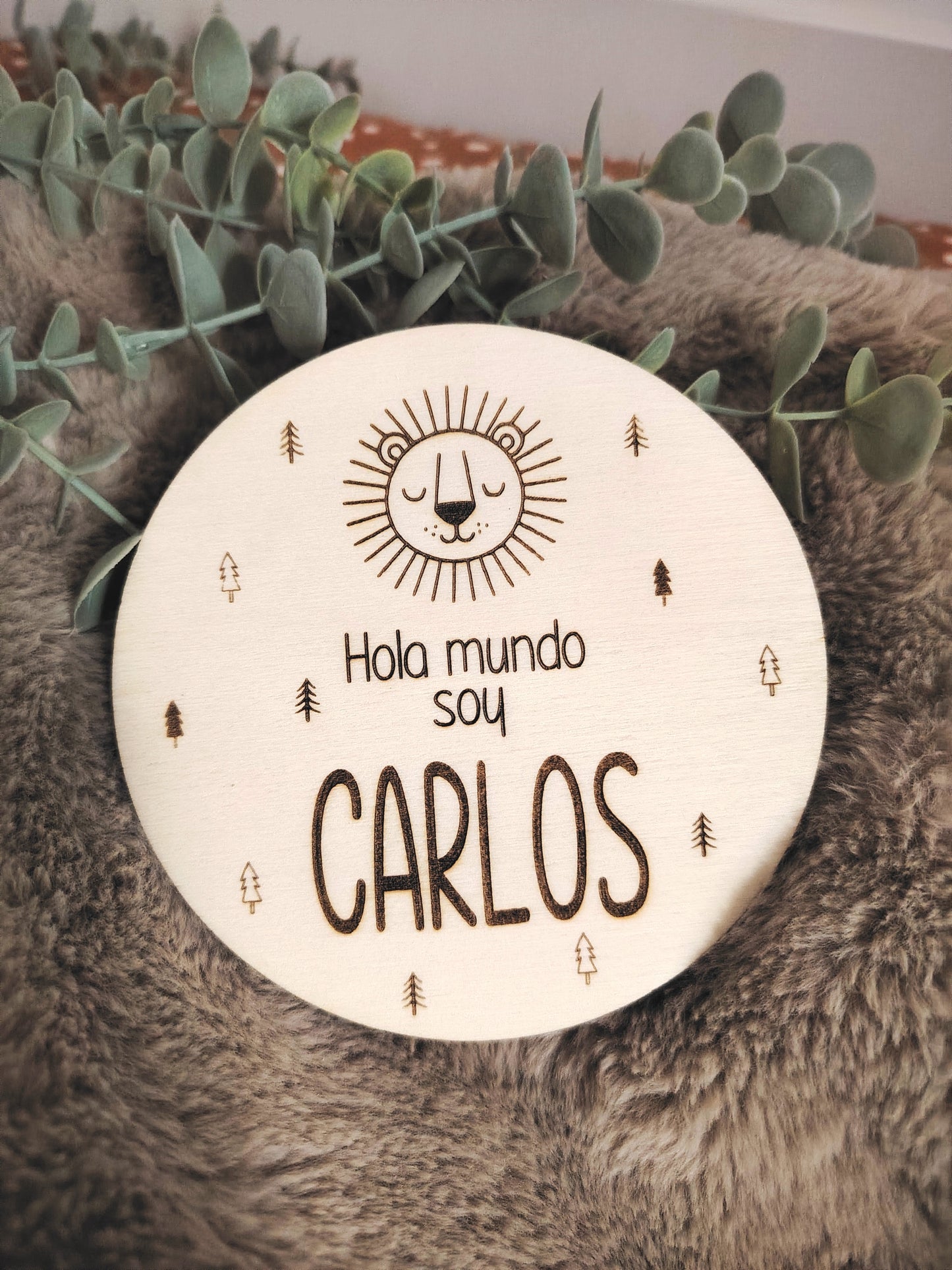 Placas cumple meses animales
