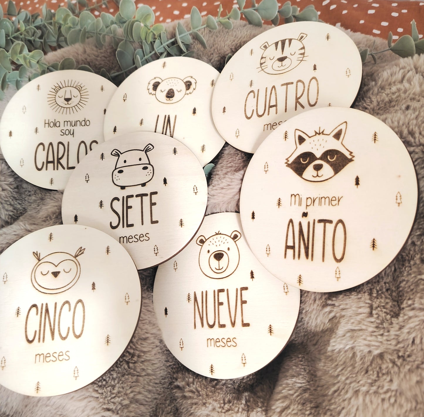 Placas cumple meses animales